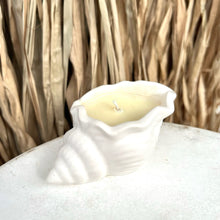 Charger l'image dans la galerie, Bougie coquillage